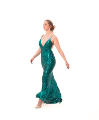 The Ariel